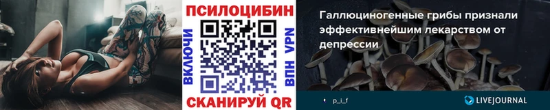Псилоцибиновые грибы Psilocybine cubensis  Подольск 